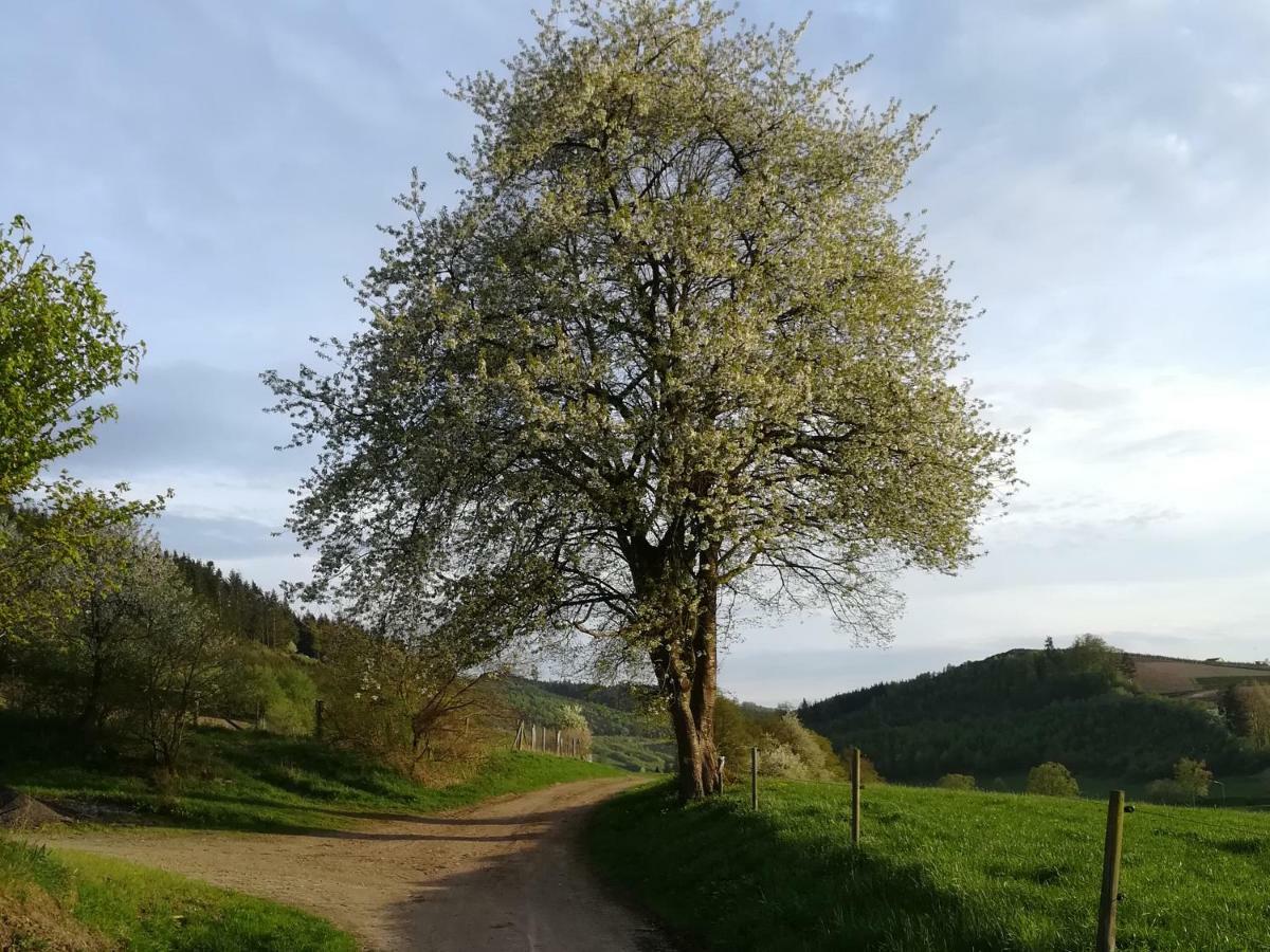 Bauernhofpension Wiebelhaus-Mester Lennestadt Kültér fotó