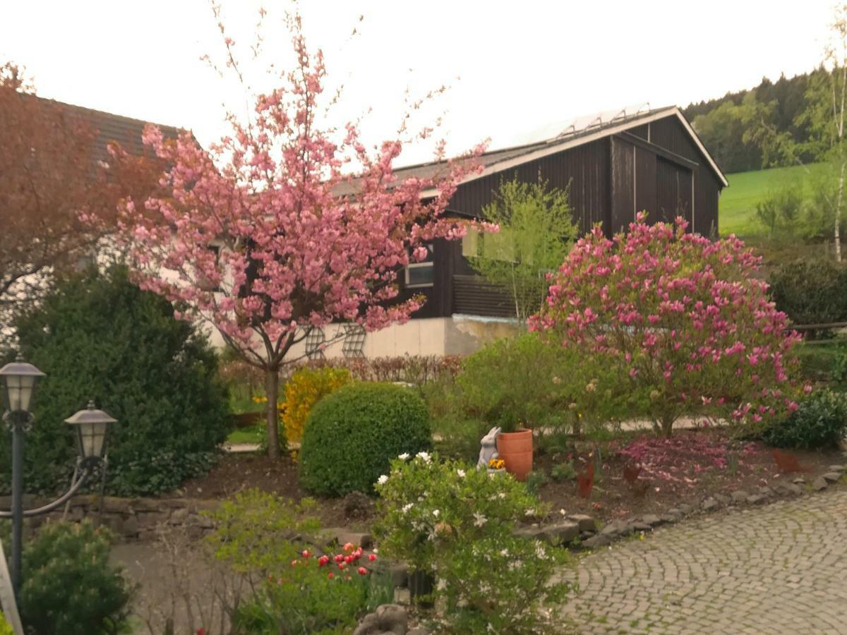 Bauernhofpension Wiebelhaus-Mester Lennestadt Kültér fotó