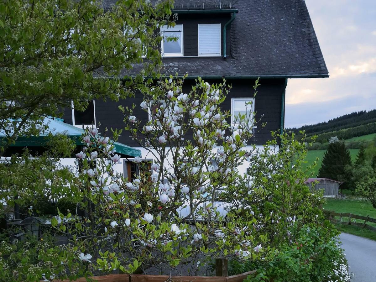 Bauernhofpension Wiebelhaus-Mester Lennestadt Kültér fotó