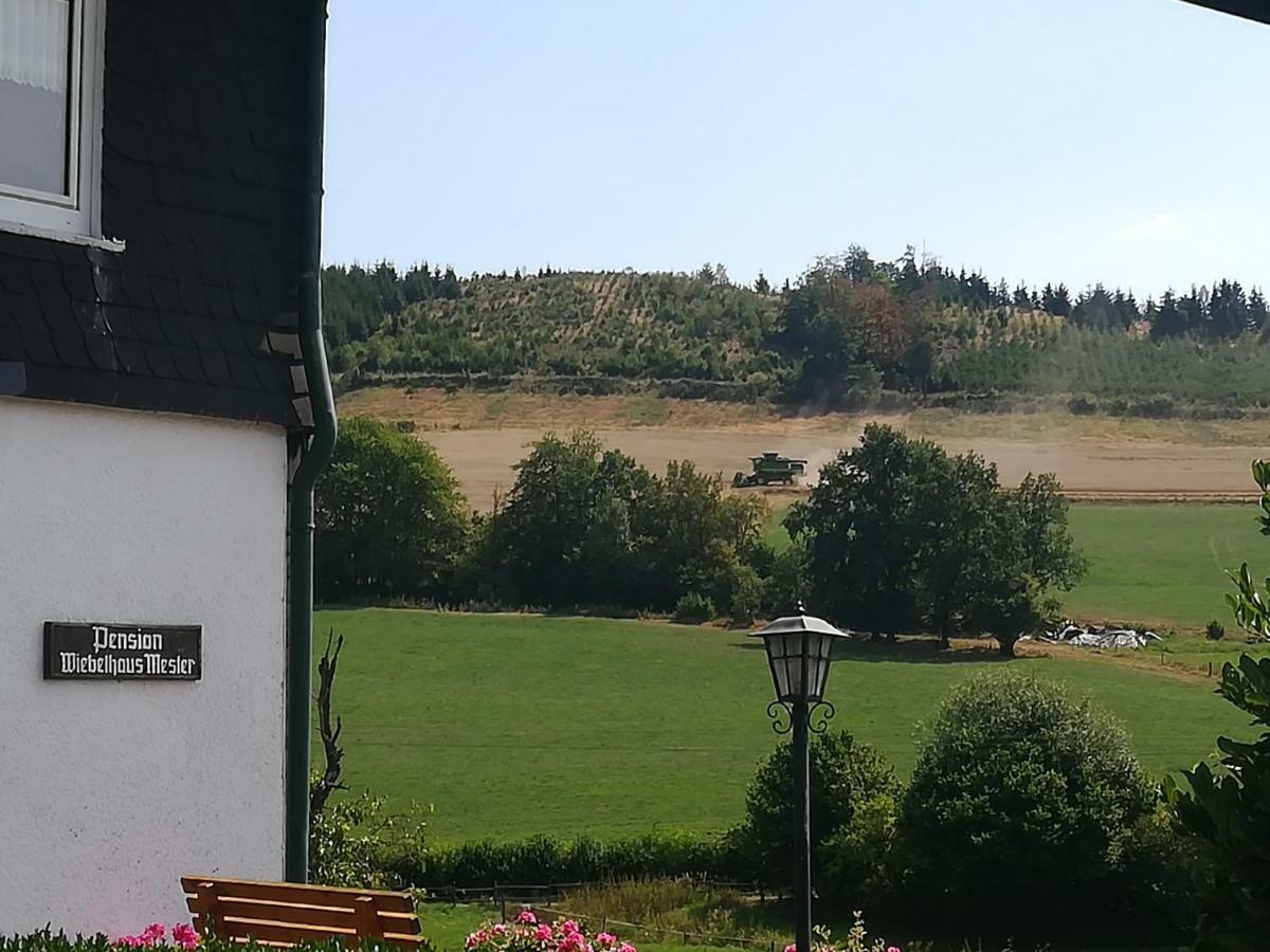 Bauernhofpension Wiebelhaus-Mester Lennestadt Kültér fotó